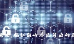 虚拟币的未来：揭秘国内