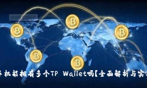 一部手机能拥有多个TP Wallet吗？全面解析与实用指南