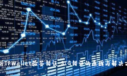 解析TPWallet验签错误：SIG错误的原因与解决方案