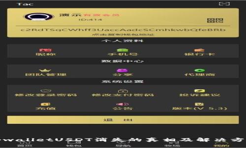 tpwalletUSDT消失的真相及解决方案