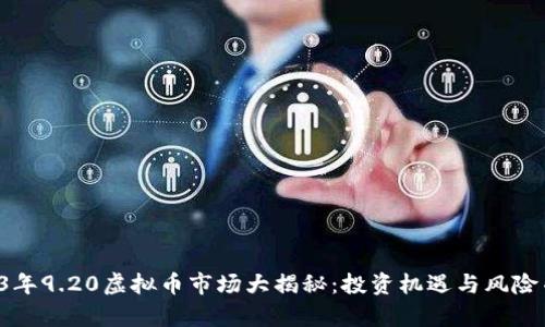 2023年9.20虚拟币市场大揭秘：投资机遇与风险并存！