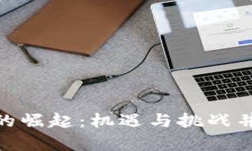 : 江苏虚拟币的崛起：机遇与挑战并存的数字经济