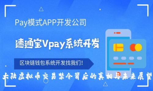 大陆虚拟币交易禁令背后的真相与未来展望