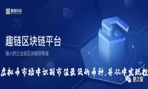 如何在虚拟币市场中识别市值最低的币种，并从中发现投资机会