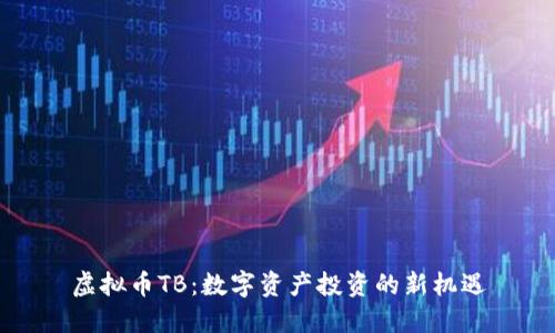 虚拟币TB：数字资产投资的新机遇