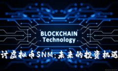 深入探讨虚拟币SNM：未来