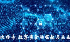   比特币：数字黄金的崛起