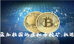 : 探秘孟加拉国的虚拟币挖