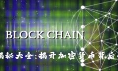 虚拟币套路揭秘大全：揭