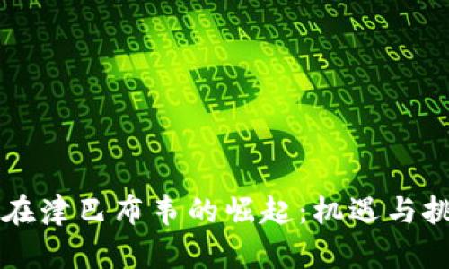 虚拟币在津巴布韦的崛起：机遇与挑战分析