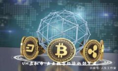 UM虚拟币：未来数字经济的