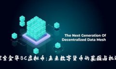探索金华BC虚拟币：未来数