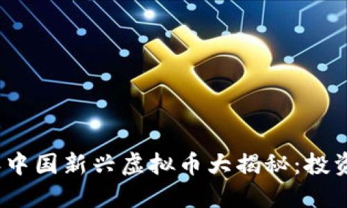 2023年中国新兴虚拟币大揭秘：投资者必读