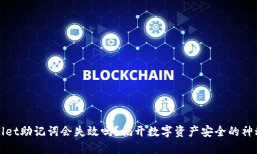 TPWallet助记词会失效吗？揭开数字资产安全的神秘面纱