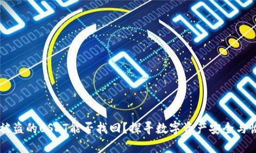TPWallet被盗的USDT能否找回？探寻数字资产安全与恢复的真相