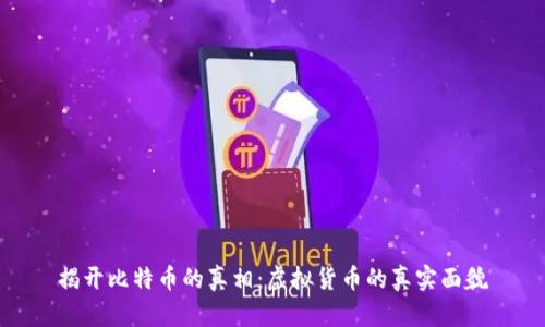 揭开比特币的真相：虚拟货币的真实面貌