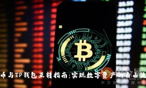 派币与TP钱包互转指南：实现数字资产的自由流通