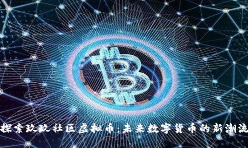 探索玖玖社区虚拟币：未来数字货币的新潮流