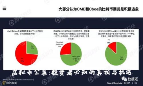 虚拟币公募：投资者必知的真相与机遇