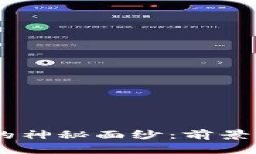 揭开UTD虚拟币的神秘面纱：前景、应用与投资策略