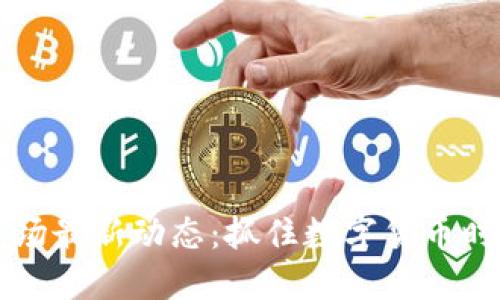 虚拟币市场最新动态：抓住数字货币时代的脉搏