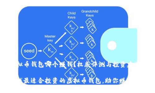 虚拟币钱包哪个赚钱？权威评测与投资建议

寻找最适合投资的虚拟币钱包，助你赚取收益