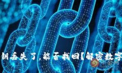 tpwallet私钥丢失了，能否找回？解密数字资产保卫