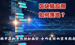 揭开虚拟币的神秘面纱：全网追踪的实用指南