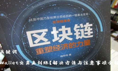 与关键词

TPWallet交易未到账？解决方法与注意事项全解析